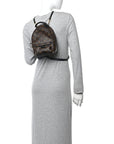 Monogram Palm Springs Backpack Mini