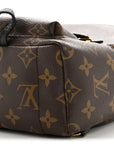 Monogram Palm Springs Backpack Mini