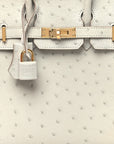 Ostrich Birkin Sellier 25 Gris Perle