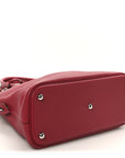 Taurillon Clemence Bolide 31 Rubis