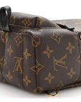 Monogram Palm Springs Backpack Mini