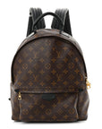 Monogram Palm Springs Backpack MM