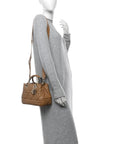 Calfskin Cannage Small The Lady 95.22 Beige