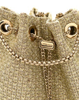 Metallic Woven Bon Bon Bag Champagne