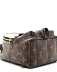 Monogram Palm Springs Backpack Mini