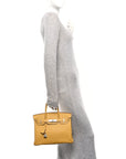 Togo Birkin 30 Curry