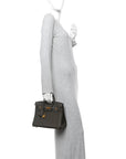 Togo Birkin 25 Eucalyptus