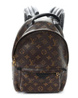 Monogram Palm Springs Backpack PM