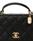 Caviar Quilted Mini Top Handle Flap Black