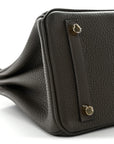 Togo Birkin 25 Eucalyptus
