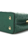Ostrich Capucines Mini Mint