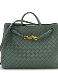 Nappa Intrecciato Medium Andiamo Shoulder Bag Aloe