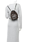 Monogram Palm Springs Backpack Mini