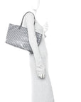 Goyardine Artois MM Grey