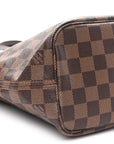 Damier Ebene Neo Neverfull PM
