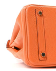Taurillon Clemence Birkin 30 Orange