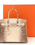 Matte Niloticus Crocodile Himalaya Birkin 30 Blanc