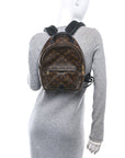Monogram Palm Springs Backpack PM