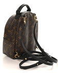 Monogram Palm Springs Backpack Mini