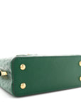 Ostrich Capucines Mini Mint