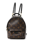 Monogram Palm Springs Backpack Mini