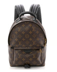 Monogram Palm Springs Backpack PM