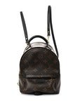 Monogram Palm Springs Backpack Mini