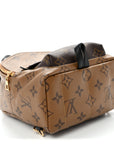 Reverse Monogram Palm Springs Backpack Mini