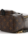 Monogram Palm Springs Backpack Mini