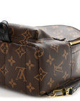 Monogram Palm Springs Backpack Mini