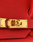 Togo BIRKIN 35 Geranium