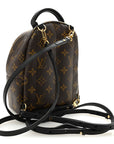 Monogram Palm Springs Backpack Mini