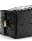 Shiny Crumpled Calfskin Quilted Medium CHNL 25 Handbag Black