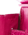 Shiny Niloticus Crocodile Birkin 30 Rose Scheherazade