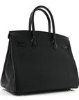 Togo Matte Alligator Birkin Touch 30 Black