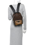 Reverse Monogram Palm Springs Backpack PM