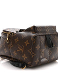Monogram Palm Springs Backpack Mini