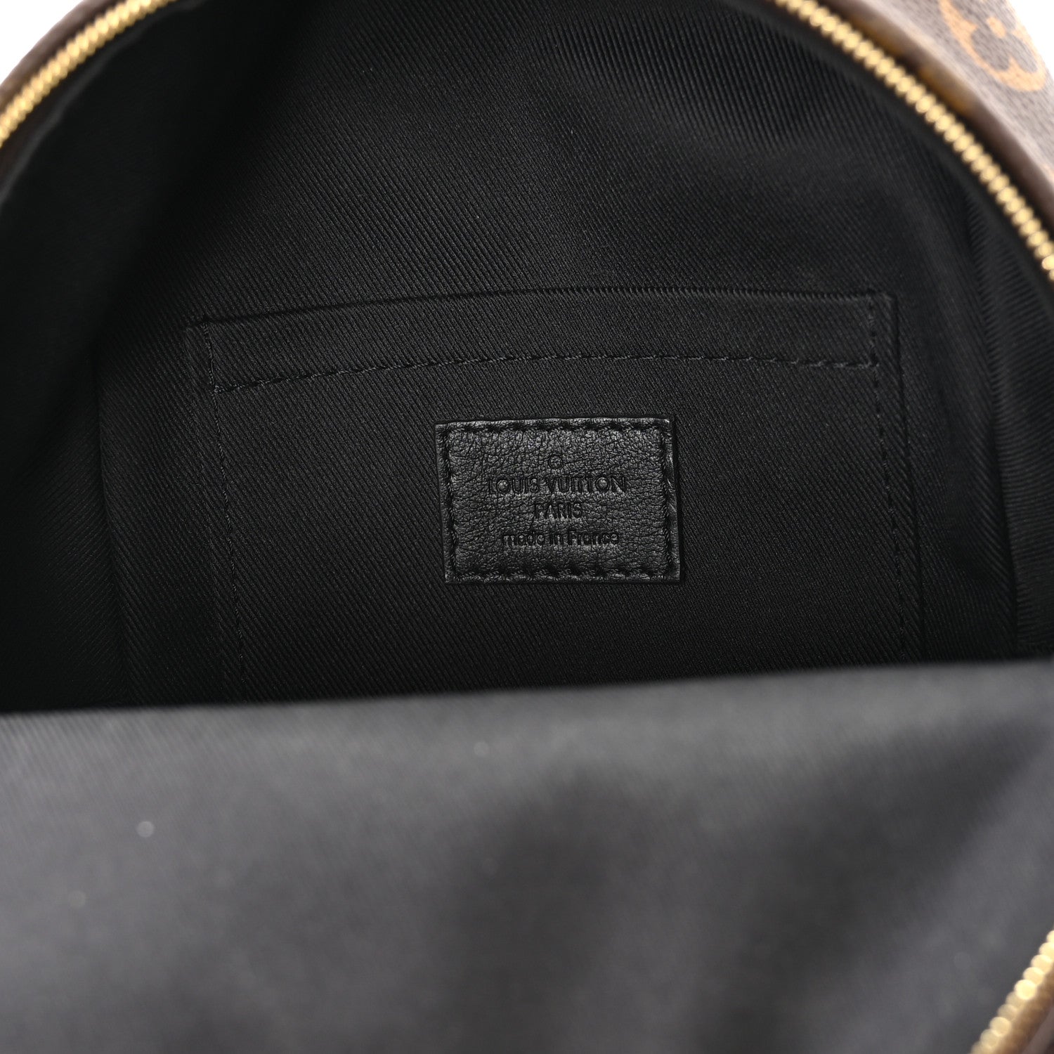 Monogram Palm Springs Backpack Mini