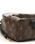 Monogram Palm Springs Backpack Mini