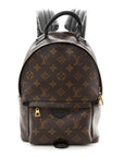 Monogram Palm Springs Backpack PM