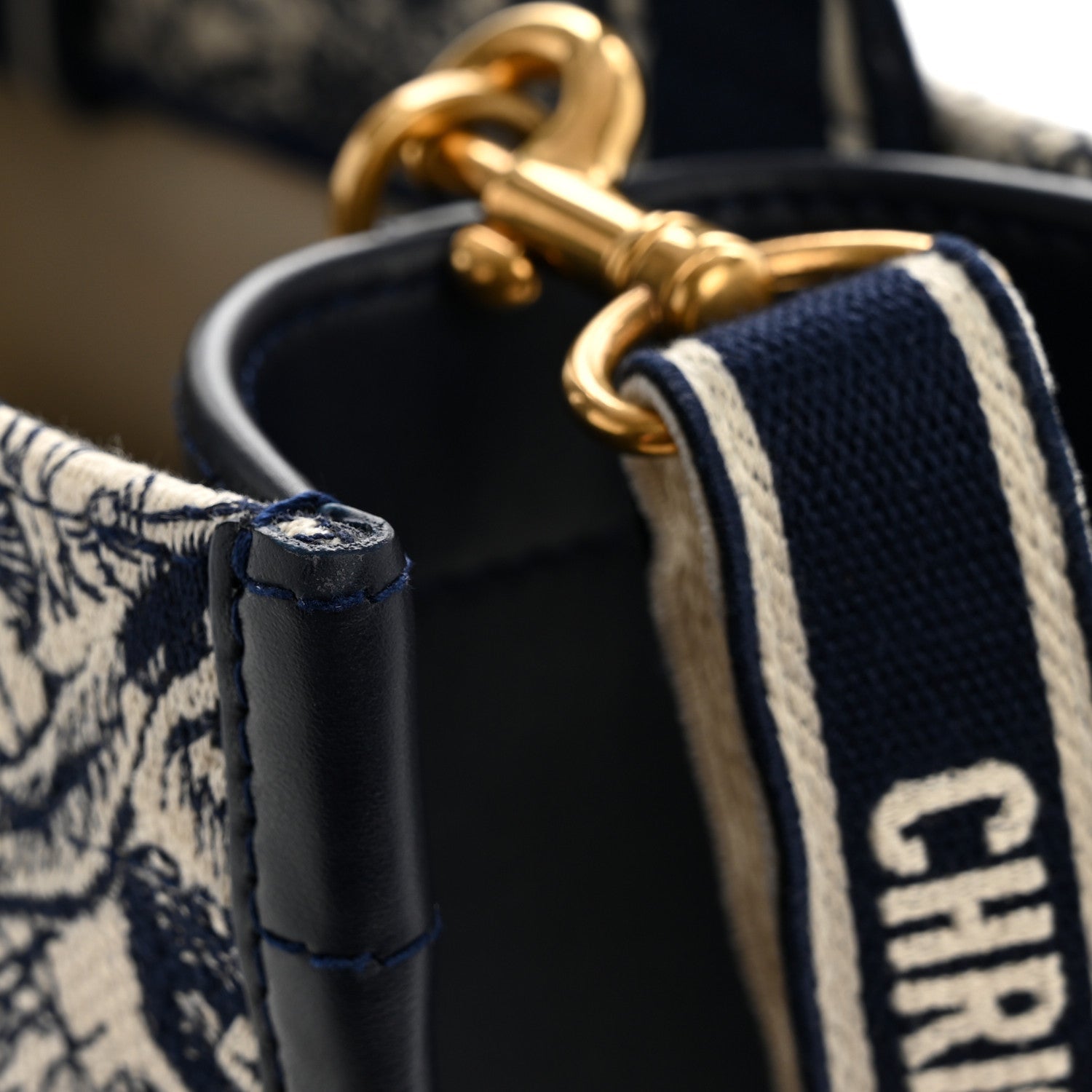 Calfskin D1ORiviera Toile De Jouy Small Book Tote With Strap Blue Multicolor