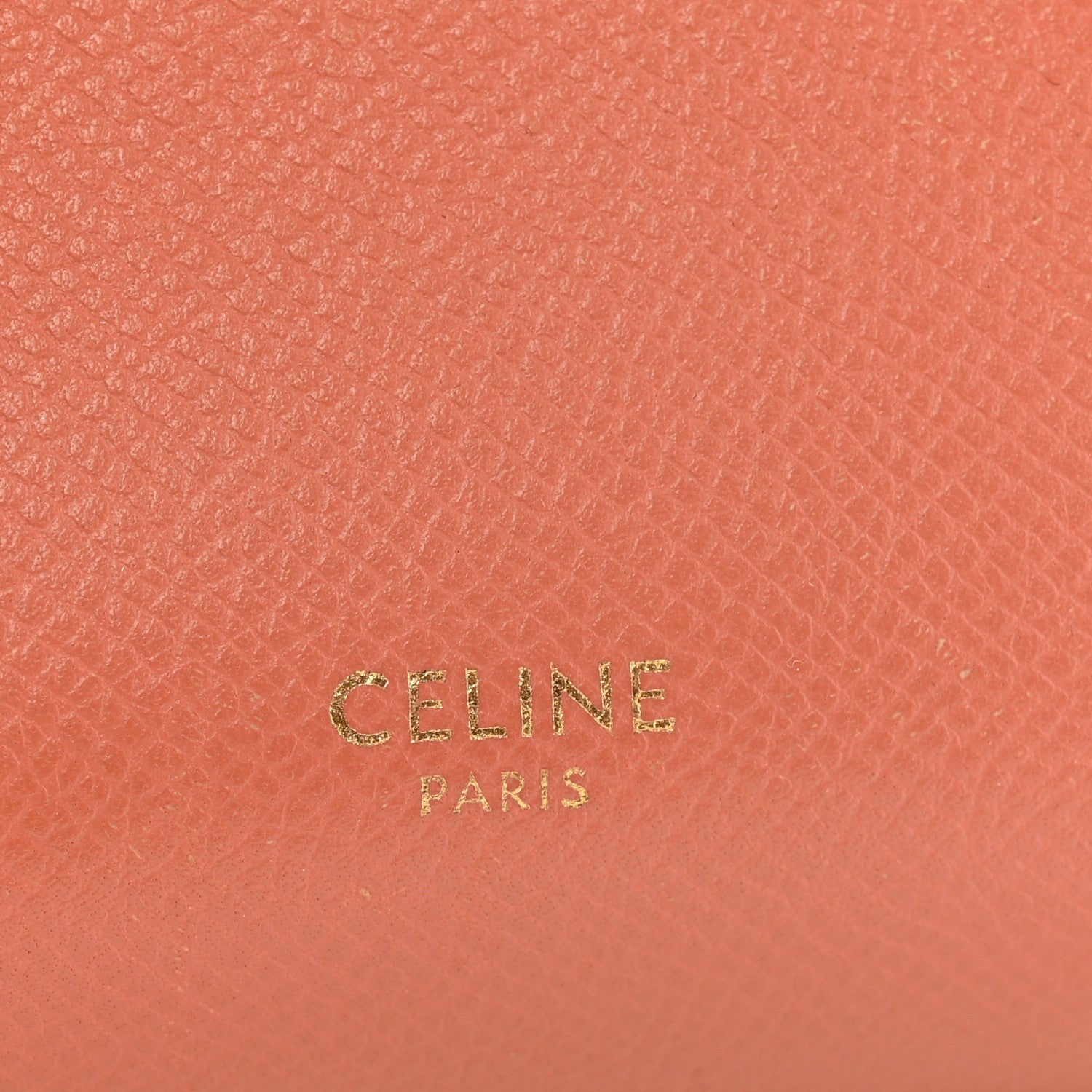 Grained Calfskin Pico Belt Bag Lychee