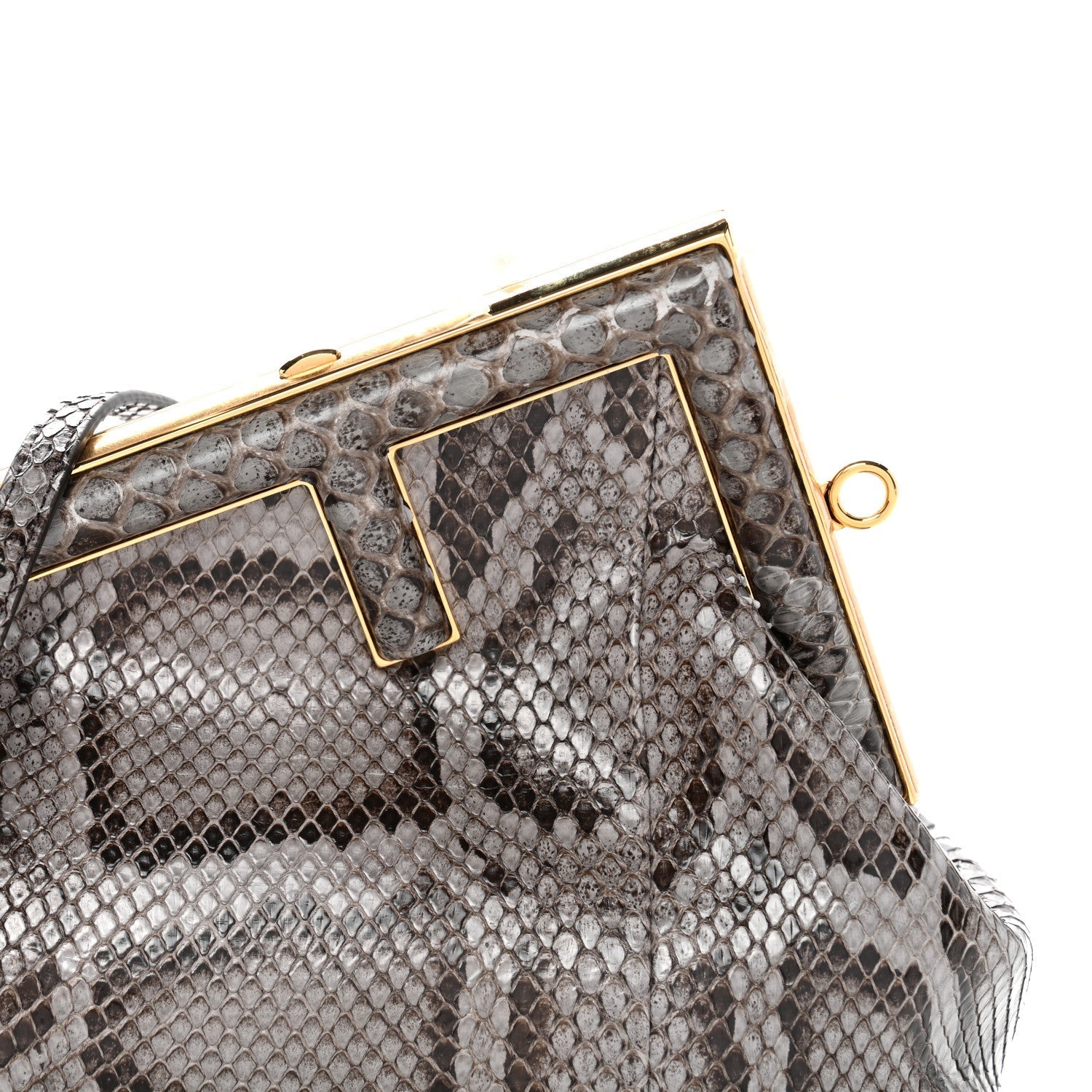 Snakeskin Small FNDI First Asfalto