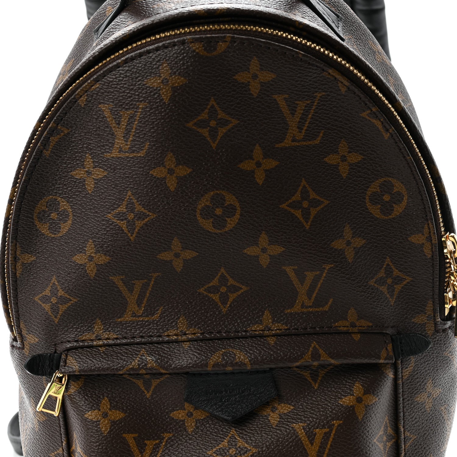 Monogram Palm Springs Backpack PM
