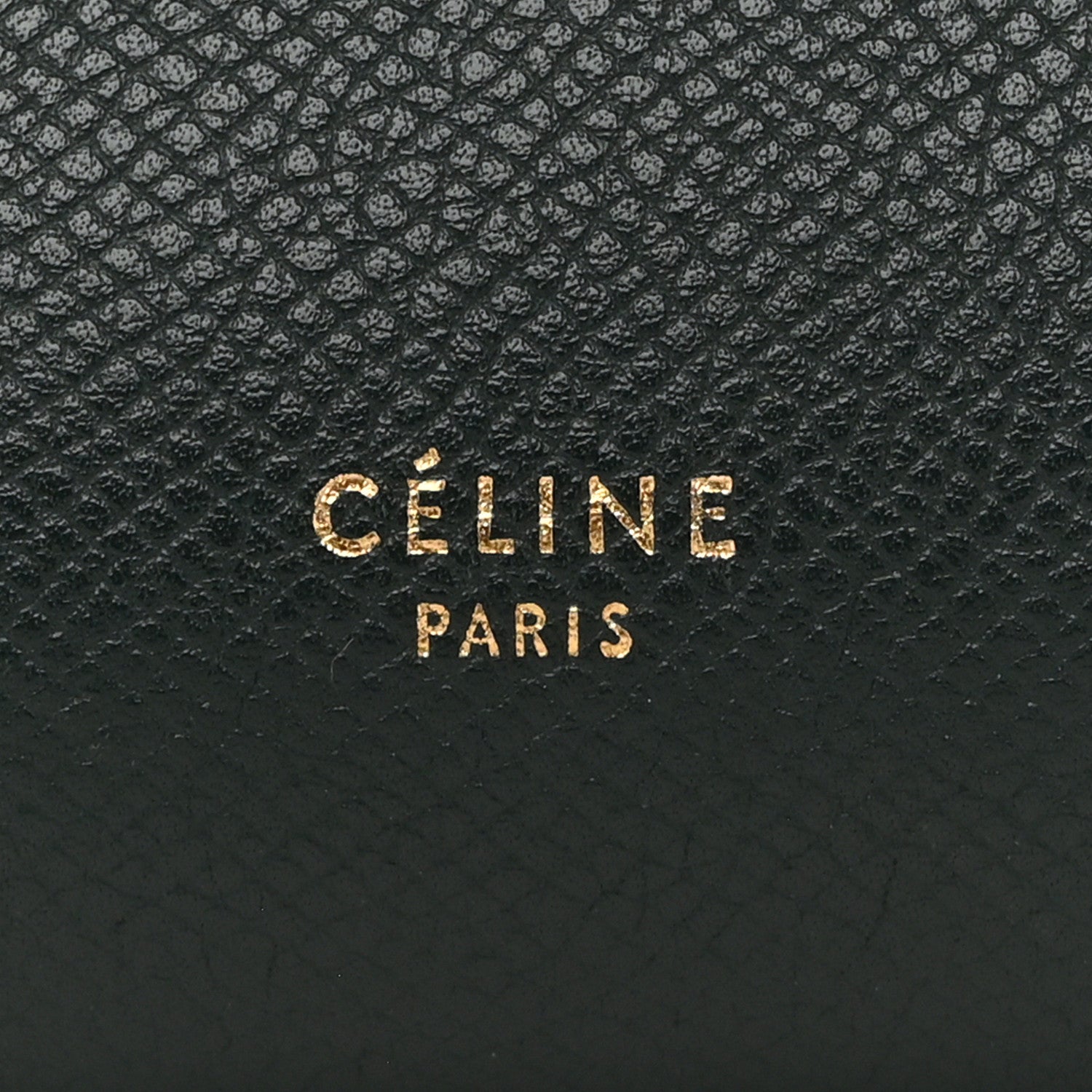 Grained Calfskin Micro Belt Bag Amazone