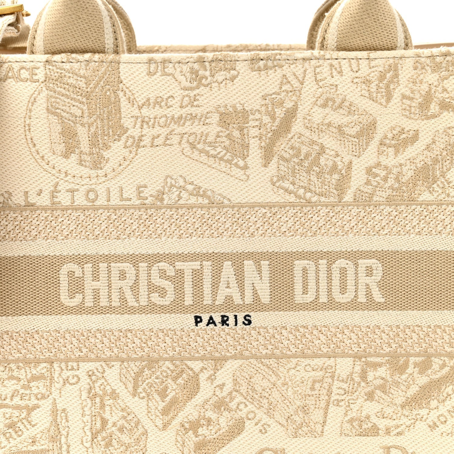 Canvas Calfskin Embroidered Small Plan De Paris Book Tote With Strap Beige