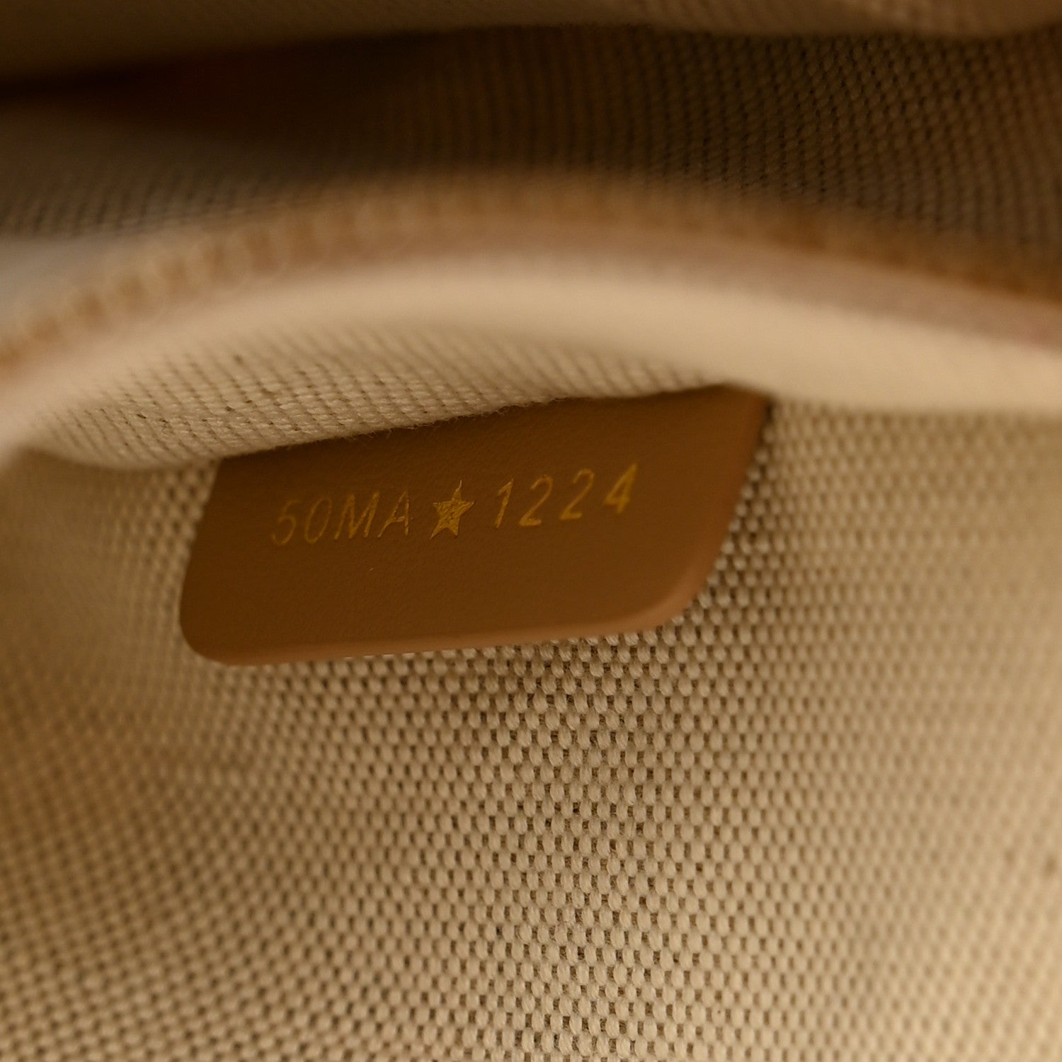 Canvas Calfskin Embroidered Small Plan De Paris Book Tote With Strap Beige