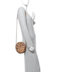 Snakeskin GG Ophidia Round Crossbody Bag