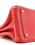 Ostrich Birkin 30 Rouge Vif