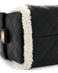 Crumpled Sheepskin Shearling Quilted Small CHNL 25 Handbag Black White